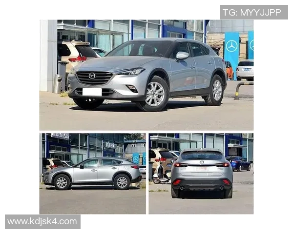 奥斯与阿尔克马激战正酣谁能在这场对决中笑到最后 奥斯与阿尔克马激战正酣谁能在这场对决中笑到最后