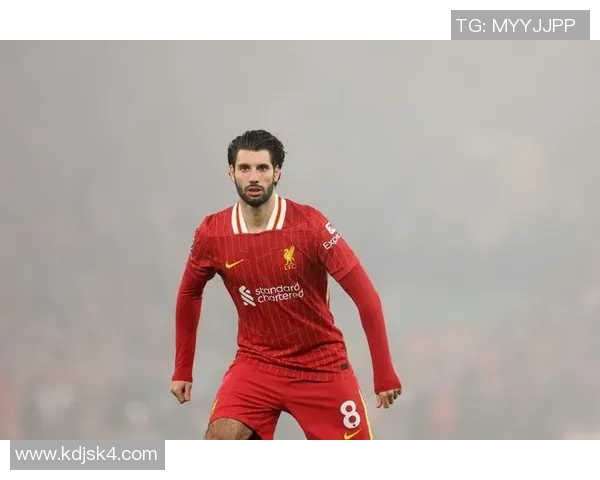 索博斯洛伊的历史遗迹与文化传承探秘之旅