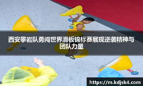 星空综合官网首页
