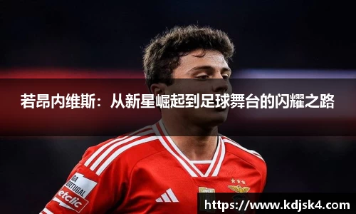 星空综合官网
